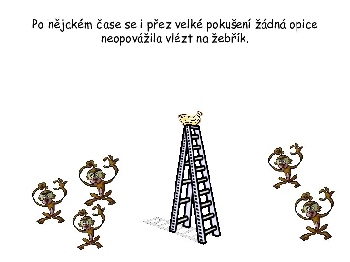 Po nějakém čase se i přez velké pokušení žádná opice neopovážila vlézt na žebřík.