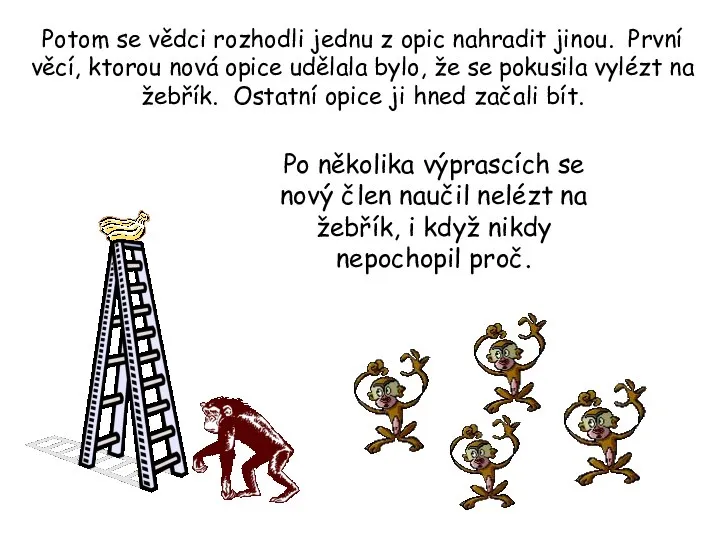 Potom se vědci rozhodli jednu z opic nahradit jinou. První věcí,