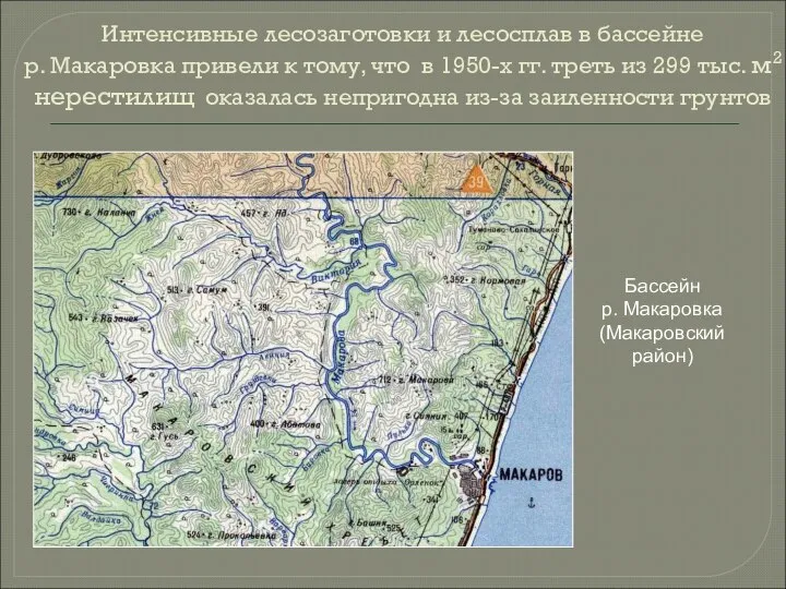 Интенсивные лесозаготовки и лесосплав в бассейне р. Макаровка привели к тому,