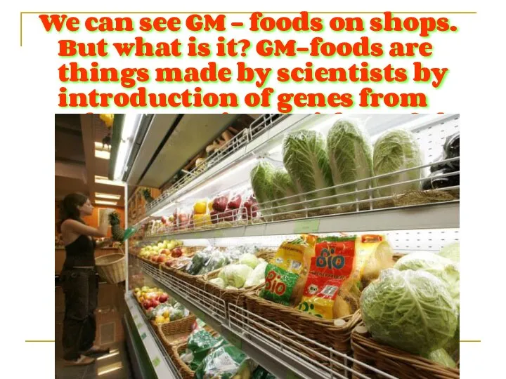 We can see GM – foods on shops. But what is