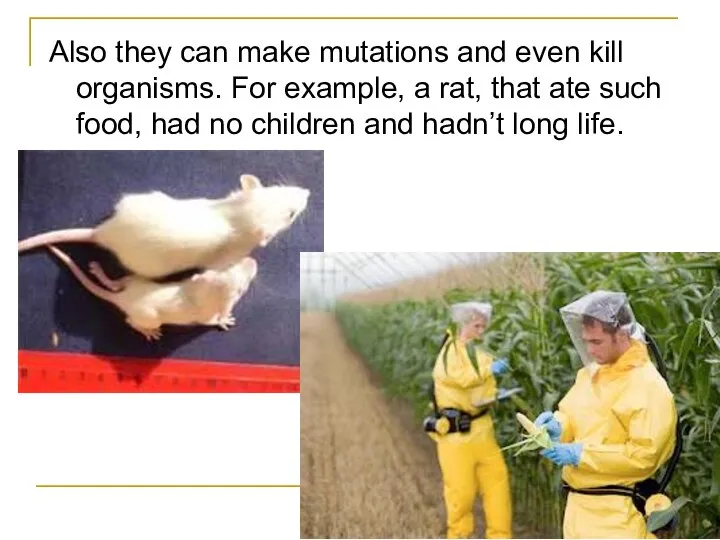 Also they can make mutations and even kill organisms. For example,