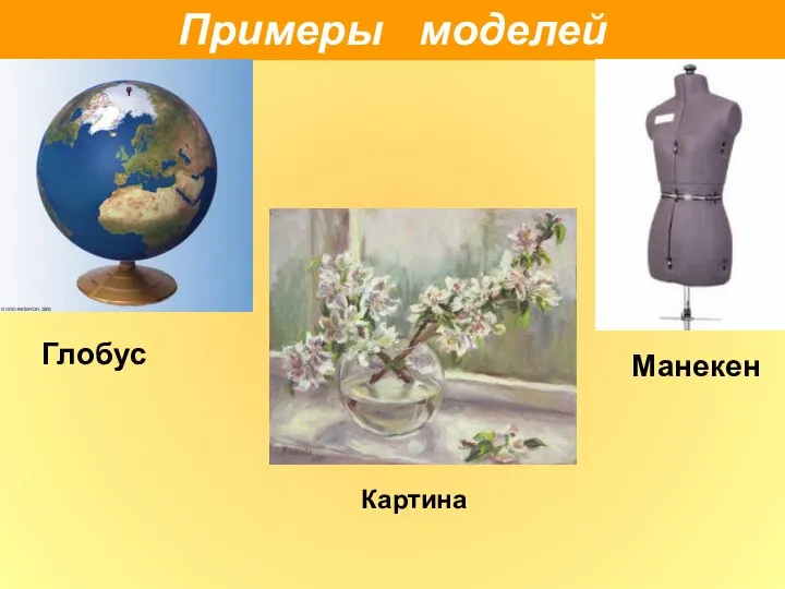 Примеры моделей Глобус Манекен Картина