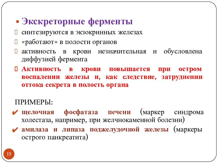 Экскреторные ферменты синтезируются в экзокринных железах «работают» в полости органов активность