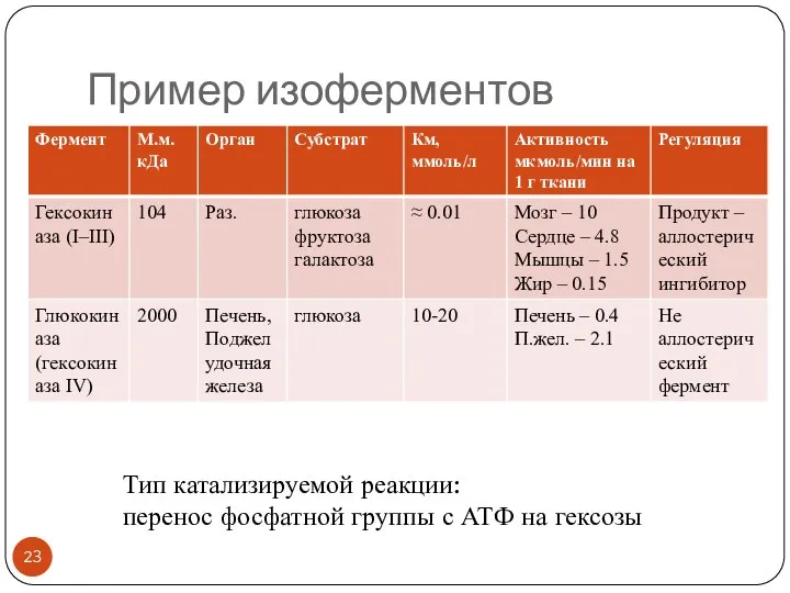 Пример изоферментов Тип катализируемой реакции: перенос фосфатной группы с АТФ на гексозы