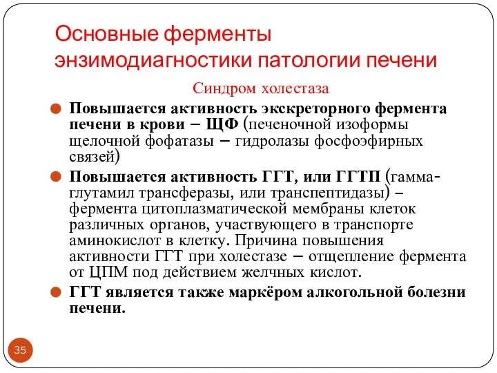 Основные ферменты энзимодиагностики патологии печени Синдром холестаза Повышается активность экскреторного фермента