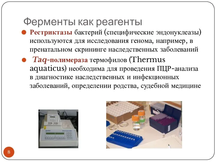 Ферменты как реагенты Рестриктазы бактерий (специфические эндонуклеазы) используются для исследования генома,