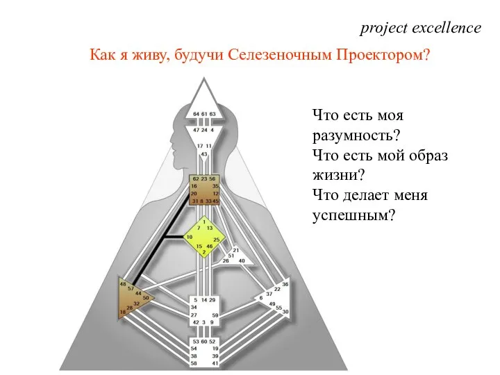 project excellence Что есть моя разумность? Что есть мой образ жизни?