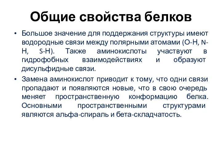 Общие свойства белков Большое значение для поддержания структуры имеют водородные связи