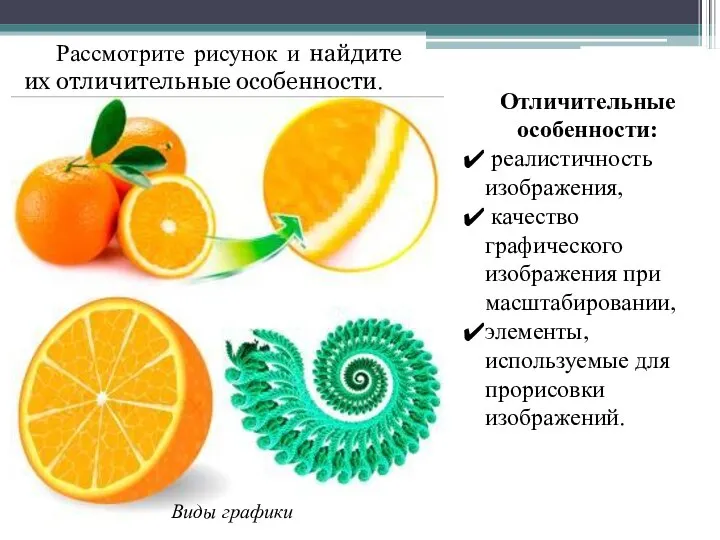 Рассмотрите рисунок и найдите их отличительные особенности. Виды графики Отличительные особенности: