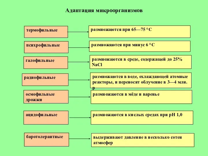 Адаптация микроорганизмов