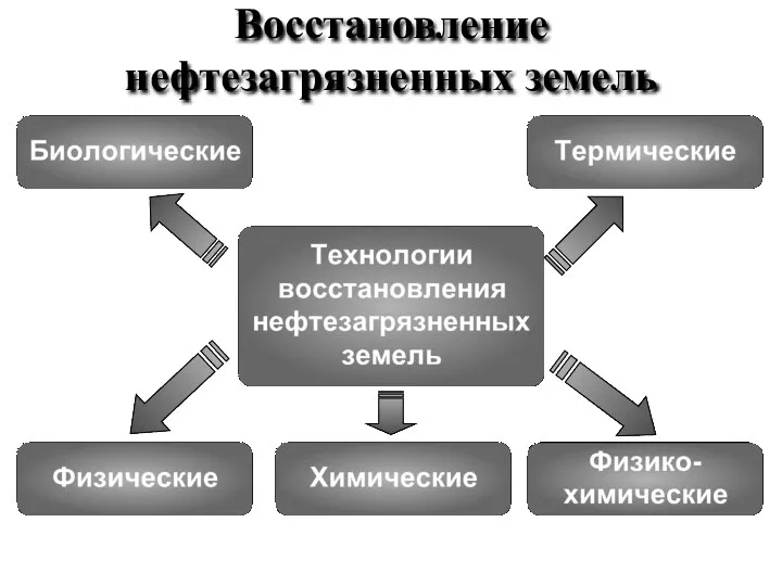 Восстановление нефтезагрязненных земель