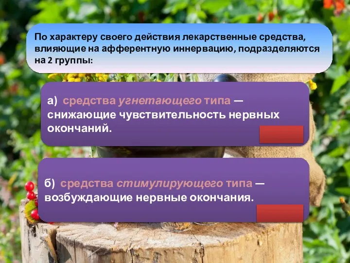 По характеру своего действия лекарственные средства, влияющие на афферентную иннервацию, подразделяются