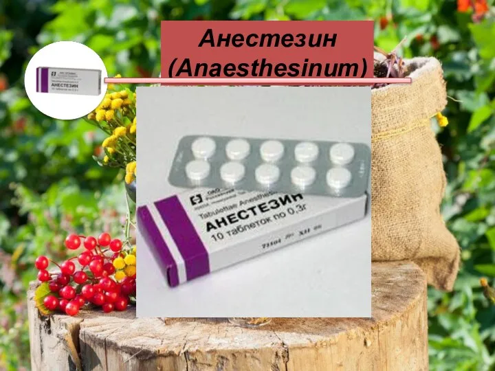 Анестезин (Anaesthesinum)