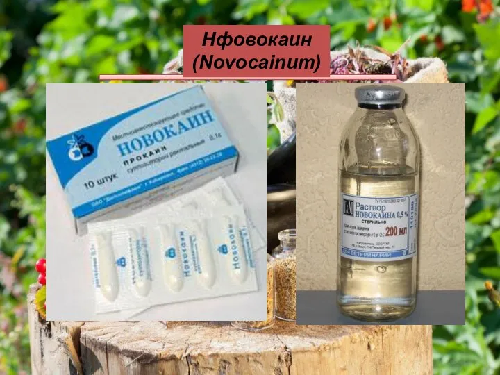 Нфовокаин (Novocainum)