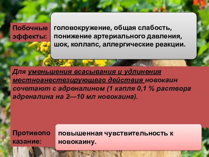 Для уменьшения всасывания и удлинения местноанестезирующего действия новокаин сочетают с адреналином