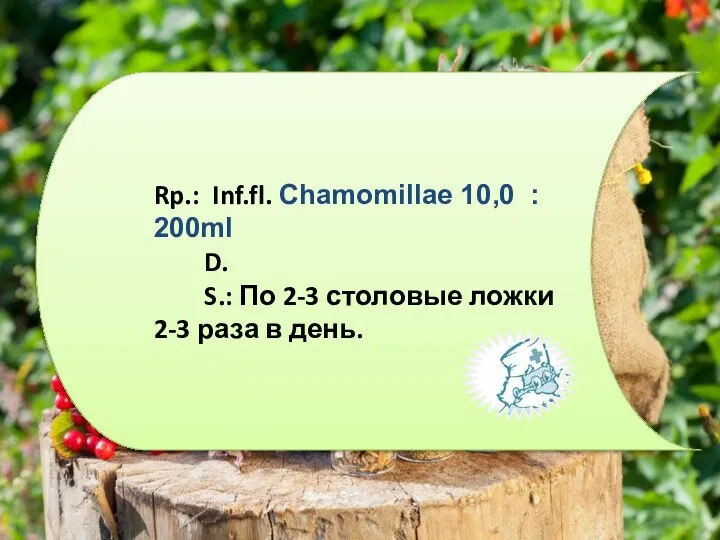 Rp.: Inf.fl. Chamomillae 10,0 : 200ml D. S.: По 2-3 столовые ложки 2-3 раза в день.