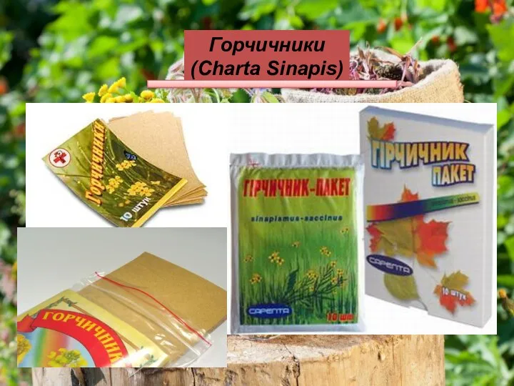 Горчичники (Charta Sinapis)