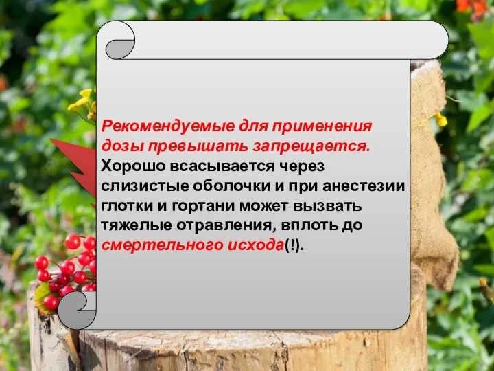 Рекомендуемые для применения дозы превышать запрещается. Хорошо всасывается через слизистые оболочки