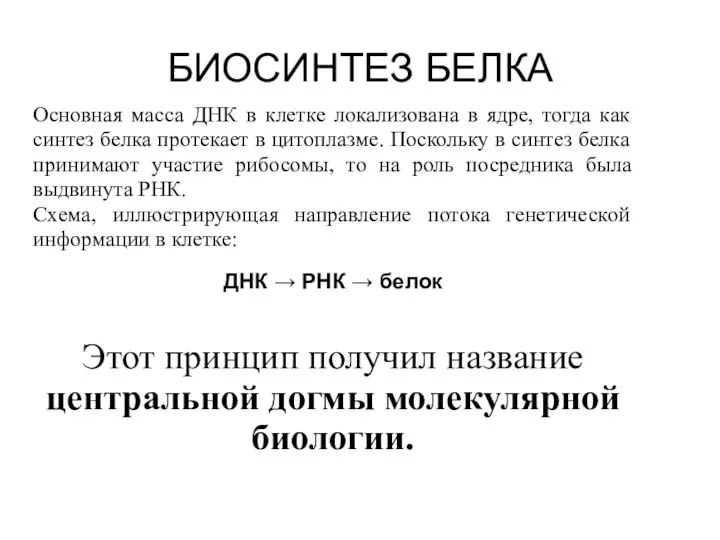 БИОСИНТЕЗ БЕЛКА Основная масса ДНК в клетке локализована в ядре, тогда