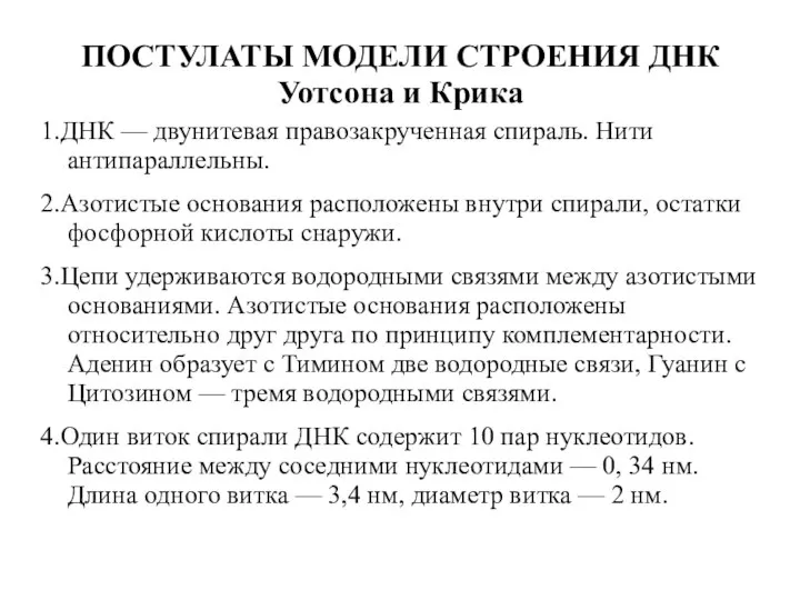 ПОСТУЛАТЫ МОДЕЛИ СТРОЕНИЯ ДНК Уотсона и Крика 1.ДНК — двунитевая правозакрученная