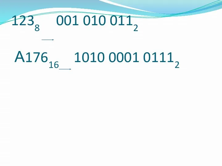 1238 001 010 0112 А17616 1010 0001 01112