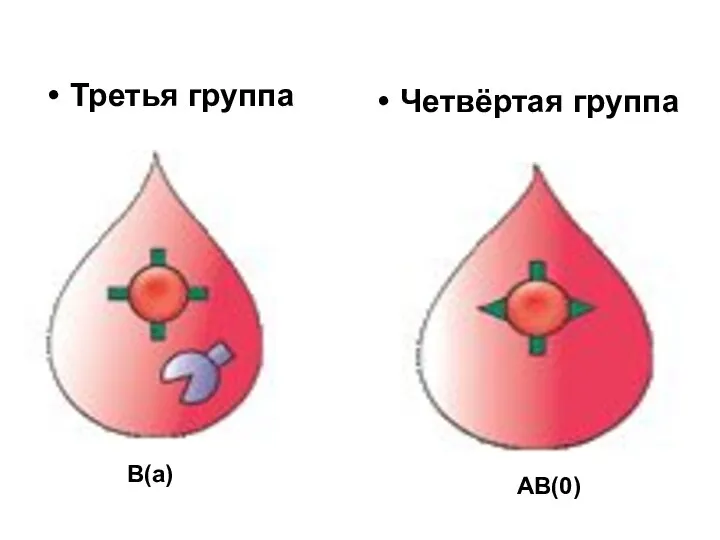 Третья группа Четвёртая группа B(a) AB(0)