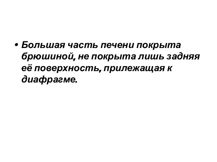 Большая часть печени покрыта брюшиной, не покрыта лишь задняя её поверхность, прилежащая к диафрагме.