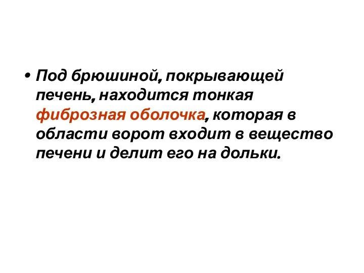 Под брюшиной, покрывающей печень, находится тонкая фиброзная оболочка, которая в области