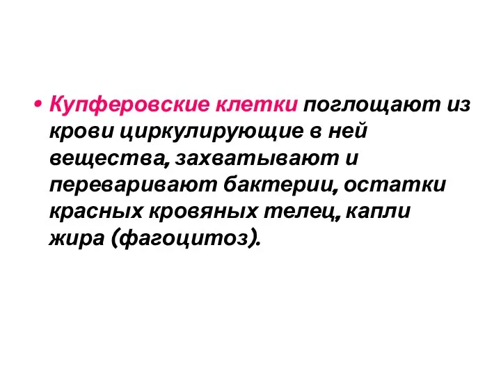 Купферовские клетки поглощают из крови циркулирующие в ней вещества, захватывают и