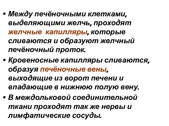 Между печёночными клетками, выделяющими желчь, проходят желчные капилляры, которые сливаются и