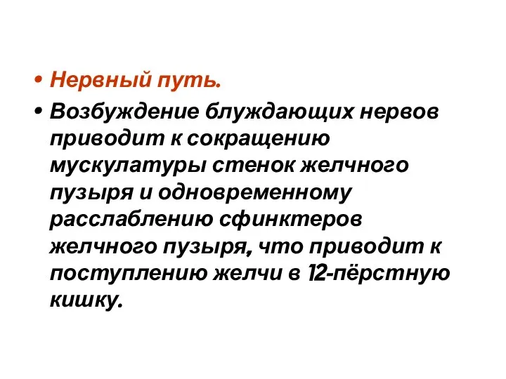 Нервный путь. Возбуждение блуждающих нервов приводит к сокращению мускулатуры стенок желчного