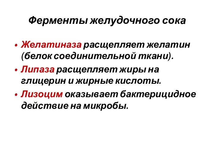 Ферменты желудочного сока Желатиназа расщепляет желатин (белок соединительной ткани). Липаза расщепляет