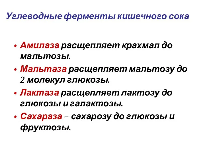 Углеводные ферменты кишечного сока Амилаза расщепляет крахмал до мальтозы. Мальтаза расщепляет