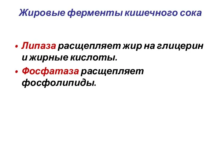 Жировые ферменты кишечного сока Липаза расщепляет жир на глицерин и жирные кислоты. Фосфатаза расщепляет фосфолипиды.