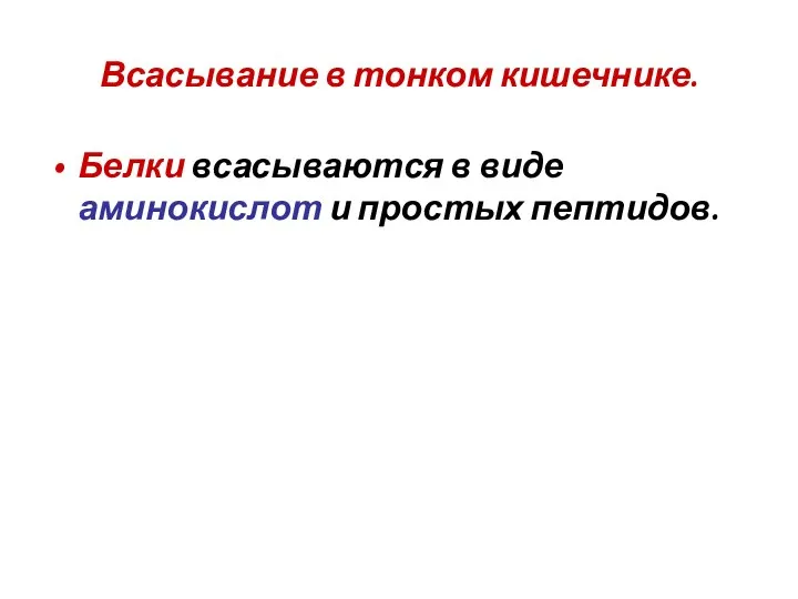 Всасывание в тонком кишечнике. Белки всасываются в виде аминокислот и простых пептидов.