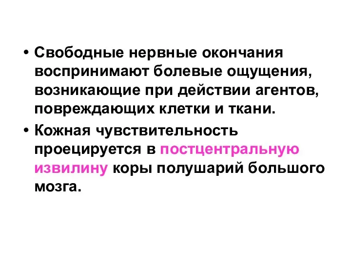 Свободные нервные окончания воспринимают болевые ощущения, возникающие при действии агентов, повреждающих