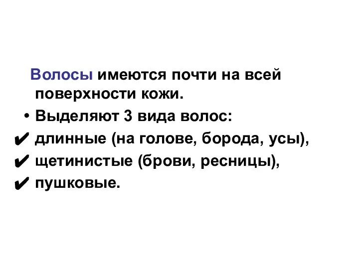 Волосы имеются почти на всей поверхности кожи. Выделяют 3 вида волос: