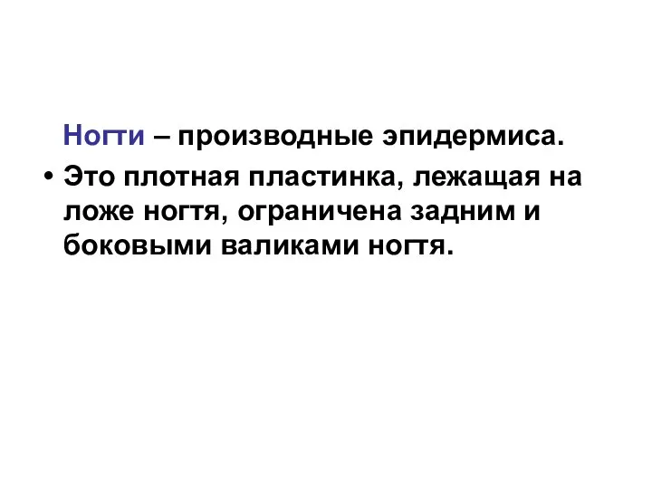 Ногти – производные эпидермиса. Это плотная пластинка, лежащая на ложе ногтя,