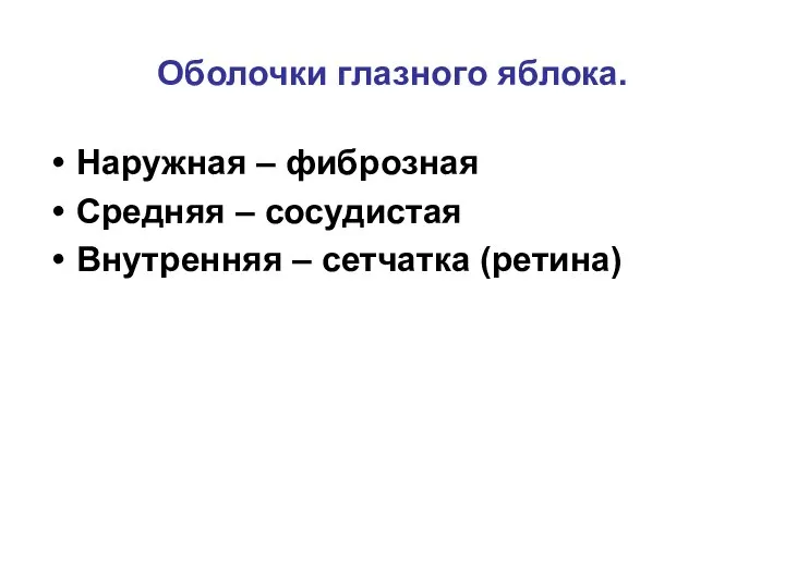 Оболочки глазного яблока. Наружная – фиброзная Средняя – сосудистая Внутренняя – сетчатка (ретина)