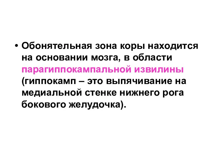 Обонятельная зона коры находится на основании мозга, в области парагиппокампальной извилины