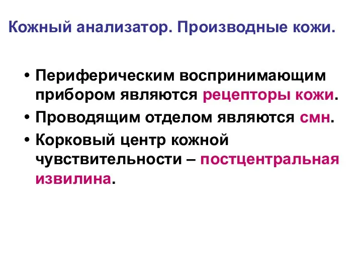 Кожный анализатор. Производные кожи. Периферическим воспринимающим прибором являются рецепторы кожи. Проводящим