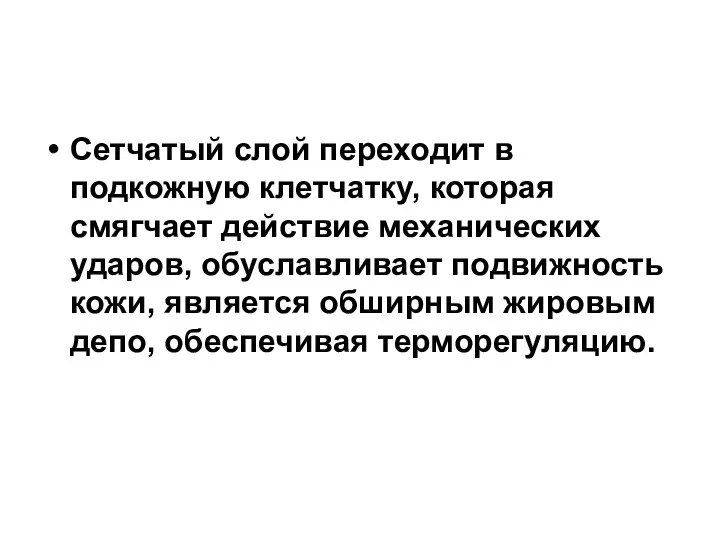 Сетчатый слой переходит в подкожную клетчатку, которая смягчает действие механических ударов,