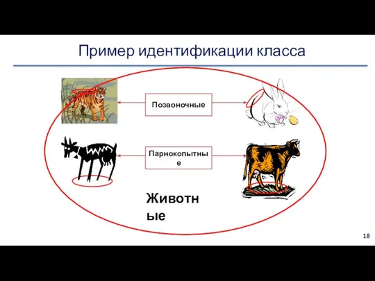 Пример идентификации класса Позвоночные Парнокопытные Животные