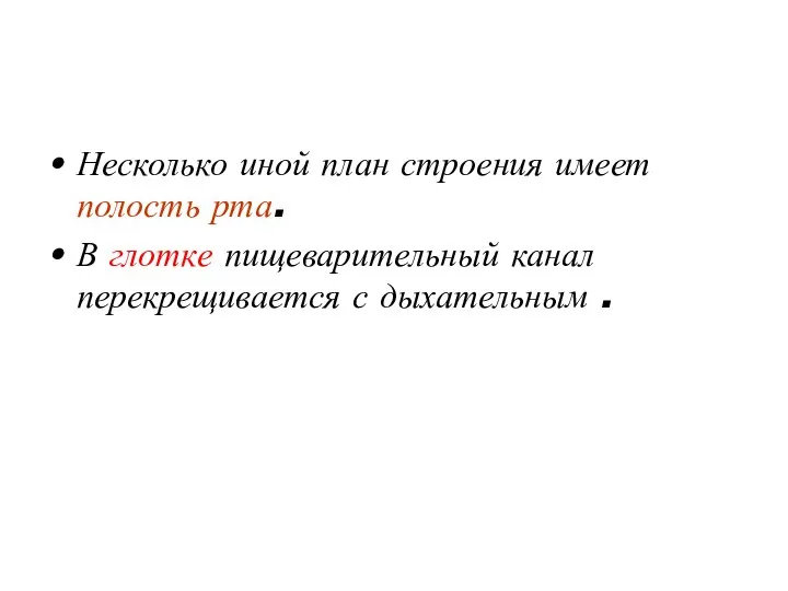 Несколько иной план строения имеет полость рта. В глотке пищеварительный канал перекрещивается с дыхательным .