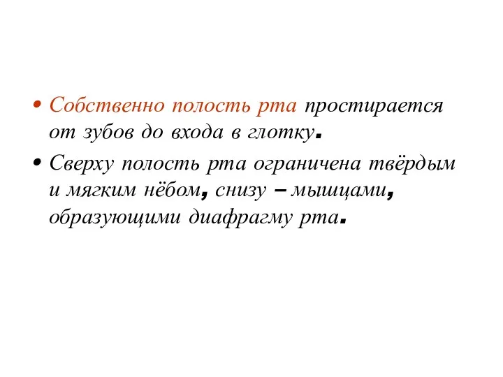 Собственно полость рта простирается от зубов до входа в глотку. Сверху