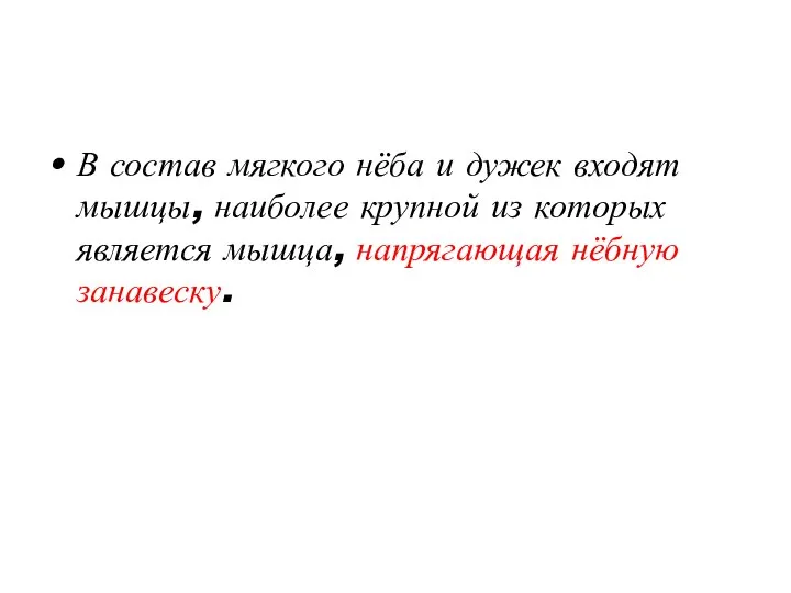 В состав мягкого нёба и дужек входят мышцы, наиболее крупной из