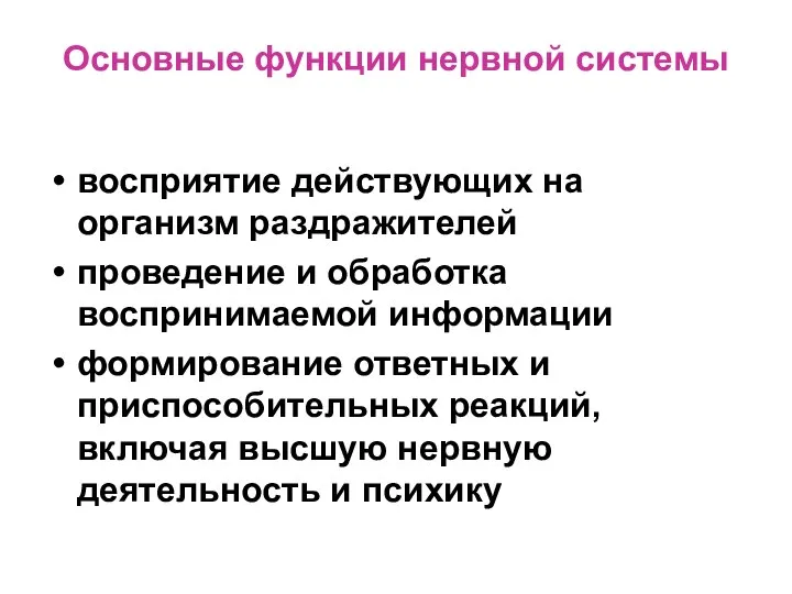 Основные функции нервной системы восприятие действующих на организм раздражителей проведение и