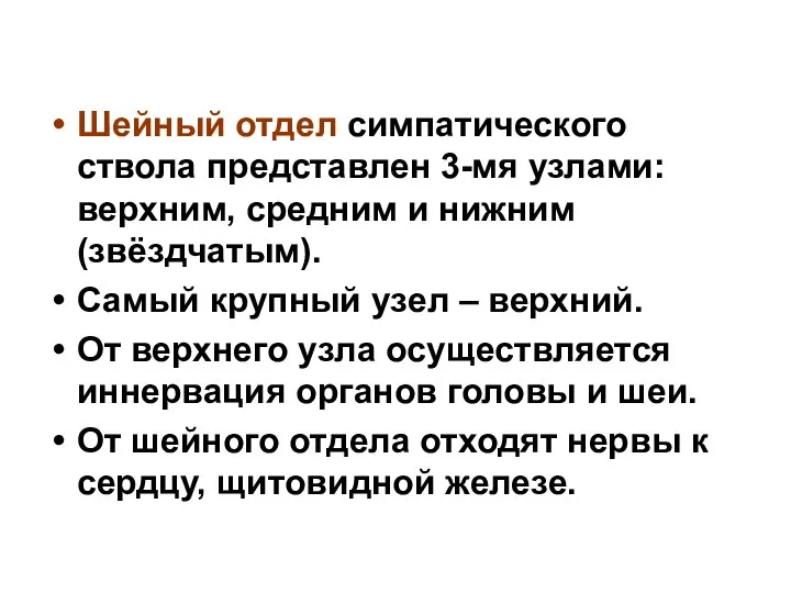 Шейный отдел симпатического ствола представлен 3-мя узлами: верхним, средним и нижним