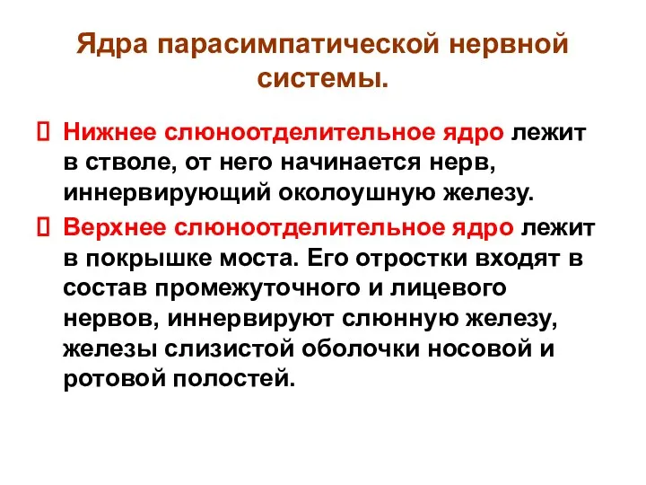 Ядра парасимпатической нервной системы. Нижнее слюноотделительное ядро лежит в стволе, от