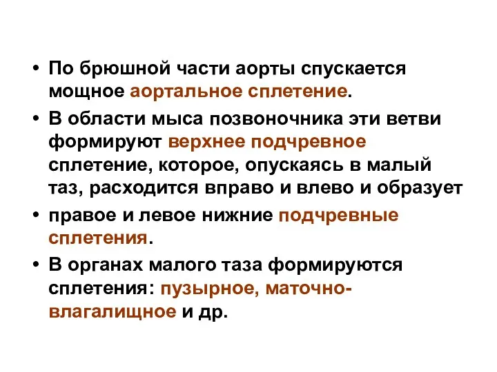 По брюшной части аорты спускается мощное аортальное сплетение. В области мыса